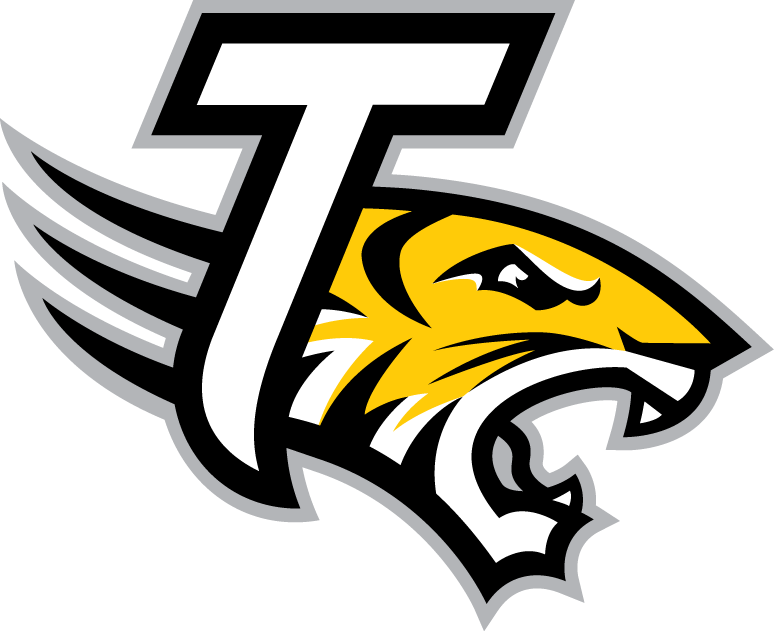 Towson Tigers 2004-Pres Alternate Logo v5 diy fabric transfers